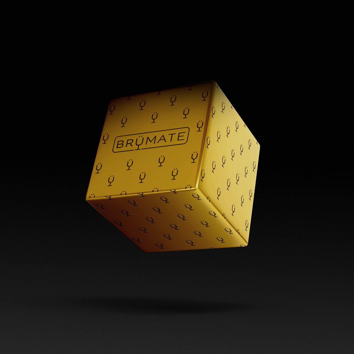 premium-mystery-item-39-70-value-w9 IMG-1548.png